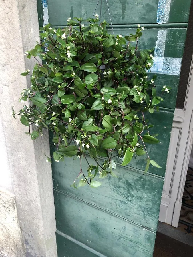 Bed & Breakfast Casa Ortensia Blu Maslianico Italy